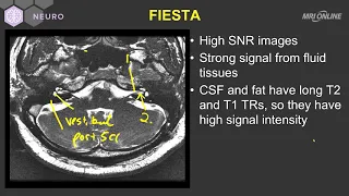 Technique on MRI - Inner Ear MRI - MRI Online