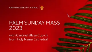 Palm Sunday of The Passion of The Lord  - Mass from Holy Name Cathedral - April 2, 2023