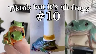 TikTok but it’s all frogs #10