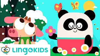 Learn the Seasons of the Year 🌸☀️🍂❄️ Nursery Rhymes | Lingokids