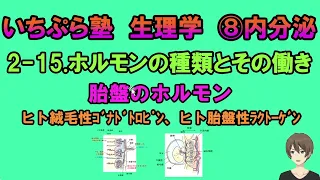 【いちぷら塾】生理学　8 内分泌　2-15 ホルモンの種類とその働き　胎盤のホルモン　ヒト絨毛性ゴナドトロピン　ヒト胎盤性ラクトーゲン