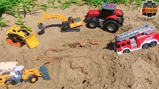 A dinoszaurusz csontváz