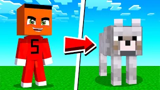 SAMET KÖPEK OLARAK TROLLÜYOR !! - Minecraft