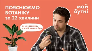 Думай як рослина! Ботаніка на ЗНО простими словами