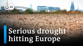 Europe's rivers are running dry as the climate crisis worsens | DW News