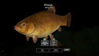 Russian Fishing 4 Activ Spot Carp and Tench Old Burg