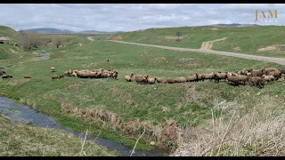 Başkənd - 32 ildir boş qalan anklav