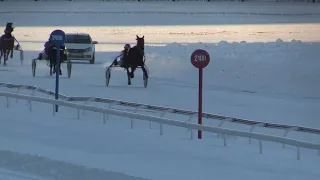 21 Февраля 2024   7 Заезд Приз в честь Дня российских студенческих отрядов