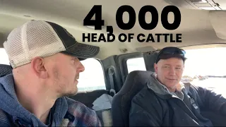 Custom Feedlot in Nebraska | Checking on our Fat Steers