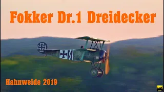 Fokker Dr1 Dreidecker - Mikael Carlson - Hahnweide 2019