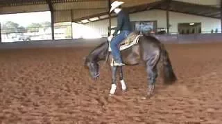 Queen of the nite  AQHA/NRHA