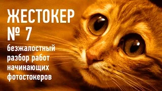 Жестокер 7. Секреты повышения продаж на фотостоках