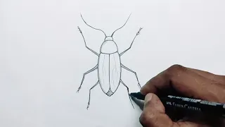 Easy way to draw cockroach step by step