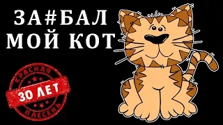 Красная Плесень - Заебал мой кот | Лучшие песни