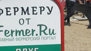 Стрим! Розыгрыш призов "Фермеру от  Fermer. ru "!