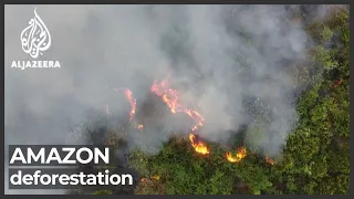 Deforestation in Brazil Amazon rainforest soars 67 percent