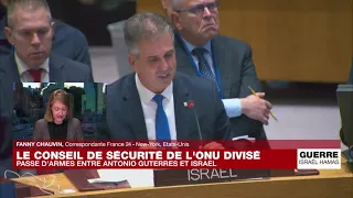 Guerre entre Israël et le Hamas : le Conseil de sécurité de l'ONU divisé • FRANCE 24