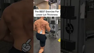 The BEST Exercise For Lower Lat Growth (MUST- TRY Single Arm 1/2 Kneeling Lat Pulldown)