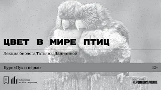 «Цвет в мире птиц». Лекция биолога Татьяны Данилиной