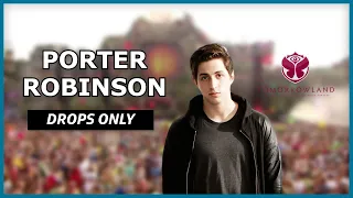 Porter Robinson (Drops Only) @ Tomorrowland 2013