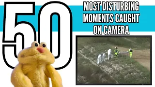 Lemon Drop reaction 50 Most Disturbing Moments Caught on Camera