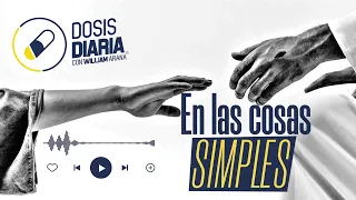 Dosis Diaria Roka - En las cosas simples