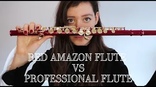 Professional flute player tries amazon flute vs expensive flute - can you hear the difference?