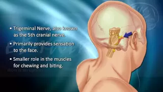 Understanding Trigeminal Neuralgia - eBrainMD.com