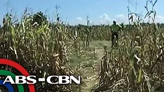 TV Patrol: Pinangyarihan ng bakbakan sa Mamasapano