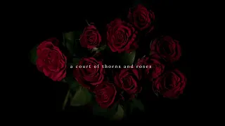 lying on the floor and reading a court of thorns and roses again | acotar playlist