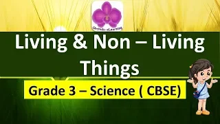 Living & Non-Living Things ( Grade 3 Science ) CBSE Syllabus