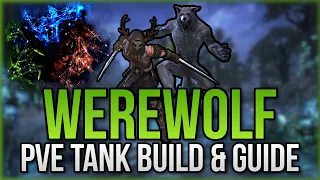 🛡️🐺 ESO - PvE Werewolf Tank Build & Guide | Sets, Skills, CP | Ascending Tide