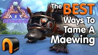 ARK Genesis 2 BEST Ways To Tame A Maewing! #ARK