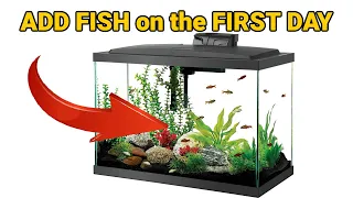 How To Add Fish Right Away To Your NEW Aquarium - Easy Guide