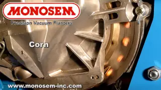 Corn in the Monosem® Precision Meter