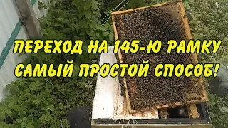 пчеловодство. переход на 145 рамку самый простой способ