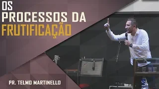 Os processos da frutificação - Pr. Telmo Martinello