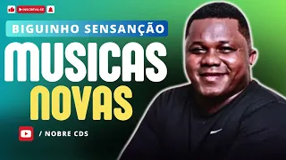 BIGUINHO SENSAÇÃO AS MELHORES 2024 BIGUINHO SENSAÇÃO PAREDÃO ATUALIZADO BIGUINHO SENSAÇÃO SUESSOS