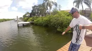 How to Throw a Large Cast Net - Actual Instructions