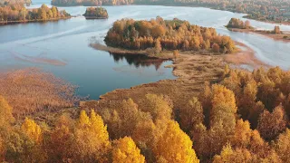 Осень в тренде. Осенний лес с высоты птичьего полета. Квадрокоптер. Autumn is on trend