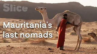 The Adrar's last nomadic shepherds | SLICE