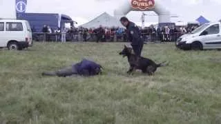 Policejní zásah - zadržení zločince (dny NATO Ostrava 2013)