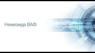 Немезида ВАФ - защита сайта от хакерских атак