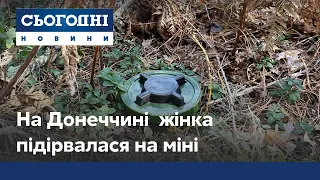 В Донецкой области женщина подорвалась на мине, когда хотела покинуть оккупированную территорию