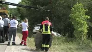 Tödlicher Unfall bei Rallye