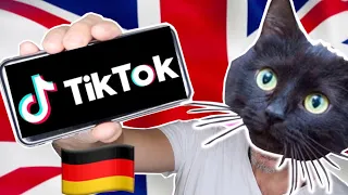 British Guy Tries CAT TikTok (German CAT) ?