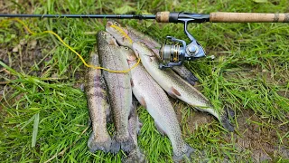 Fishing a Flooded Creek for a Delicious Dinner (Trout Fishing)