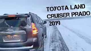 Бросил отца одного в лесу ! Эдвин уехал на Toyota Land Cruiser Prado 2019 Механика или Автомат ?