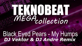 Black Eyed Peas - My Humps (DJ Vektor & DJ Andre Remix)