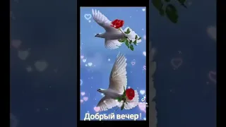 Добрый вечер! 🌹Чудесного вечера! Приятного общения! 🌹